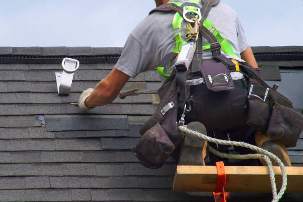 Best Roof Gutter Cleaning  in Wheeling, WV