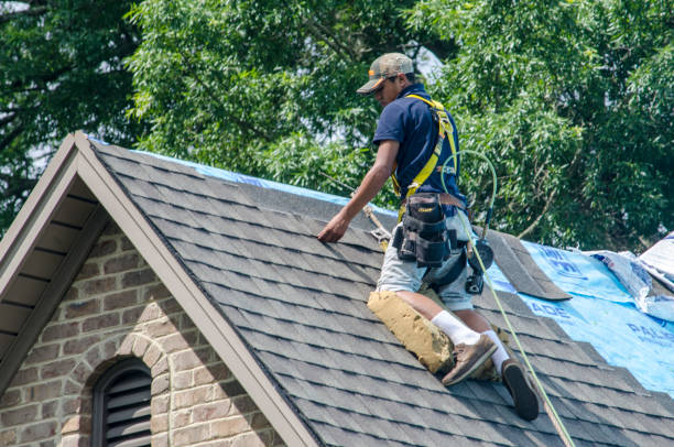 Best Local Roofing Companies  in Wheeling, WV
